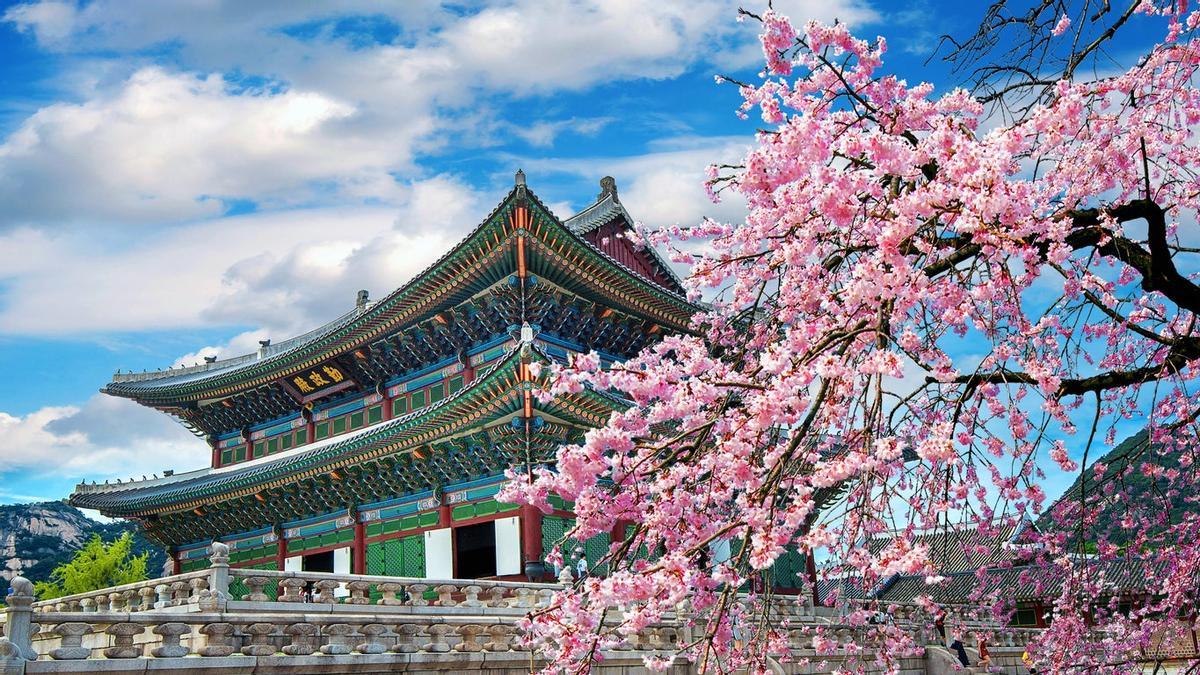 Corea del Sur en 8 días: Seúl, Jeju y Busan
