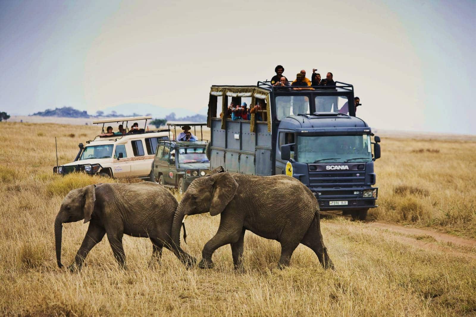 Safari en África del Este: qué esperar, cuánto cuesta y cómo organizarlo